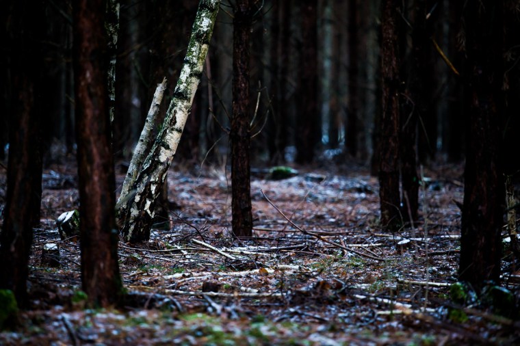 Projekt 366-160115-11