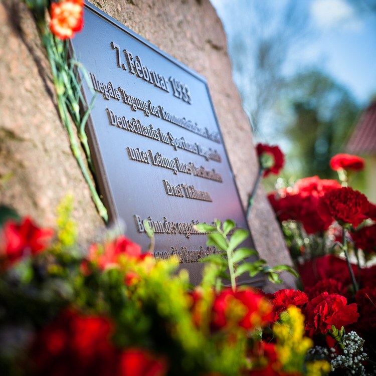 Gedenkstein, Niederlehme, Ernst Thälmann, Thälmann, Nelke