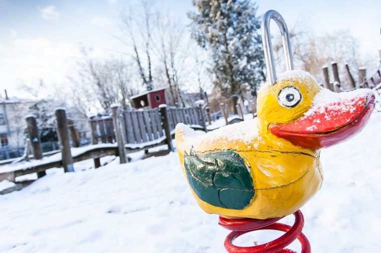 Projekt 366-160118-8