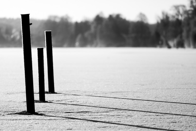 Projekt 366-160119-6