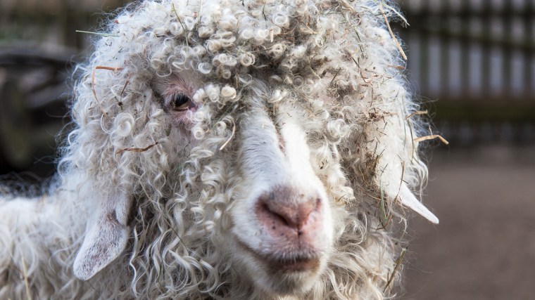 Projekt 366-160207-5