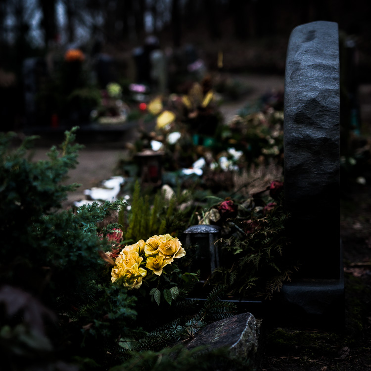 Projekt 366-160214-23