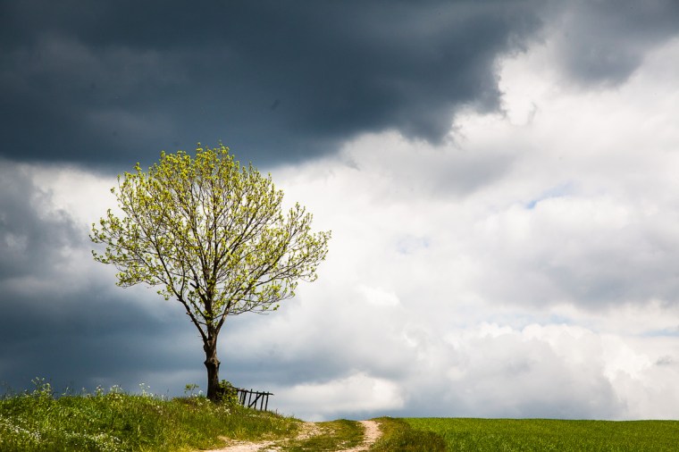 Dittersdorfer Höhe, Sächsische Schweiz, Baum, Feldweg, Wolken, Regenwolken