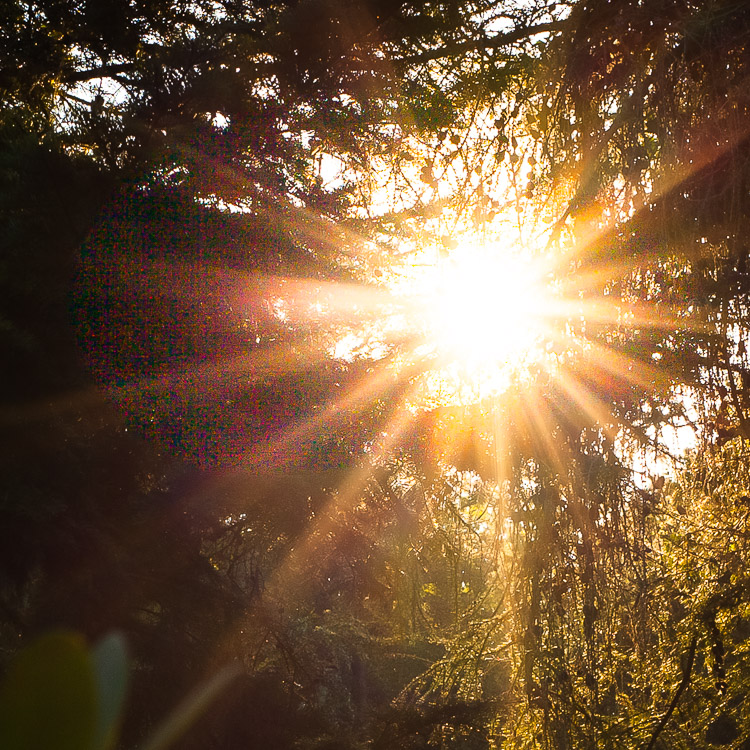 Sonnenuntergang, HDR, Bildfehler