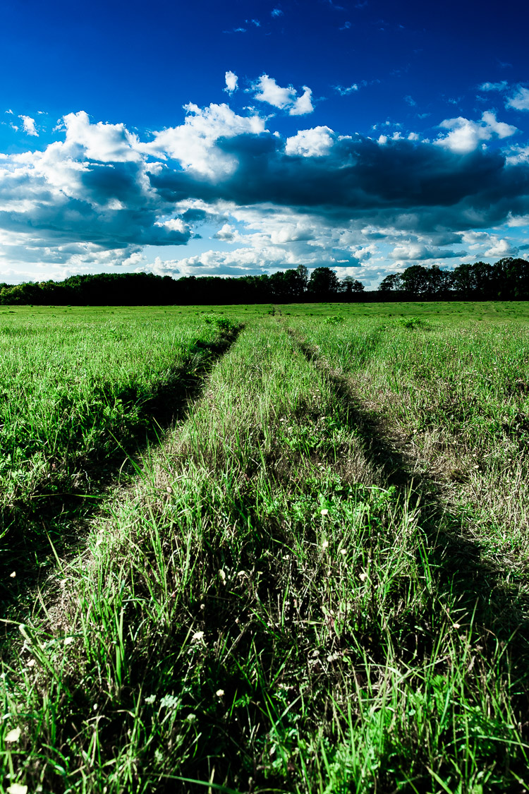 Feldweg, Wiese, Wald, Himmel, Landschaft
