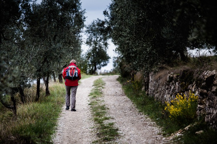 Wanderung, Wanderin, Toskana, Feldweg, Olive