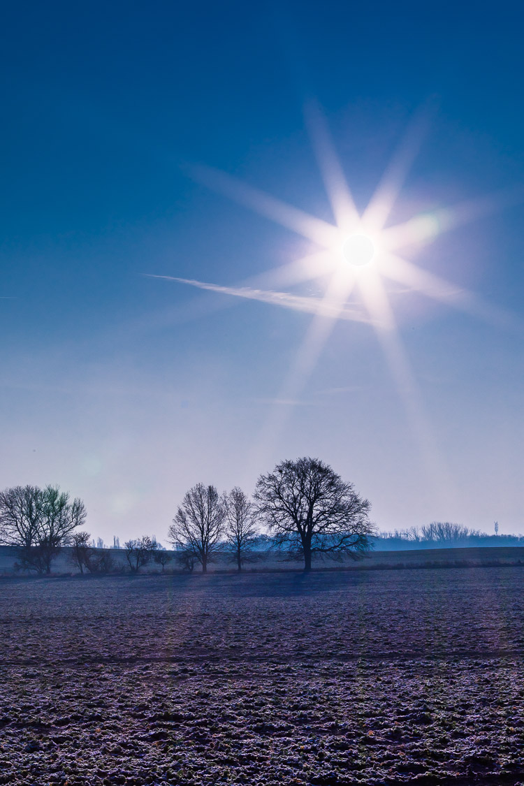 Landschaft, Winter, Bäume