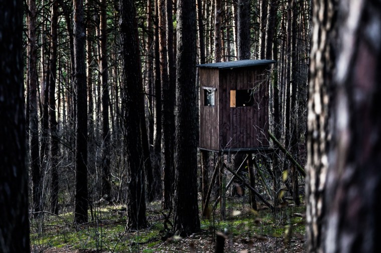 projrkt-366-161203-9-2